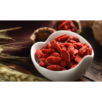 certified organic goji berries